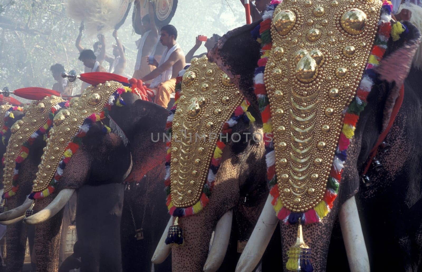 Farmers with their Elephants at the traditional Pooram or Elephant Festival and Temple Festival in the city of Thrissur or Trichur in the Province Kerala in India.  India, Thrissur, April, 1998