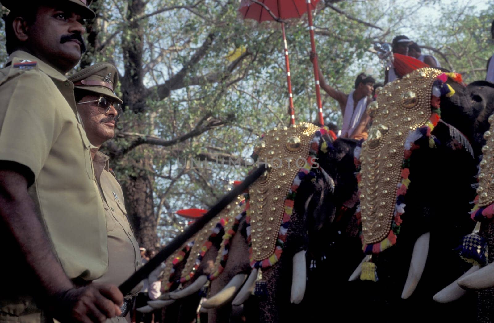 Farmers with their Elephants at the traditional Pooram or Elephant Festival and Temple Festival in the city of Thrissur or Trichur in the Province Kerala in India.  India, Thrissur, April, 1998