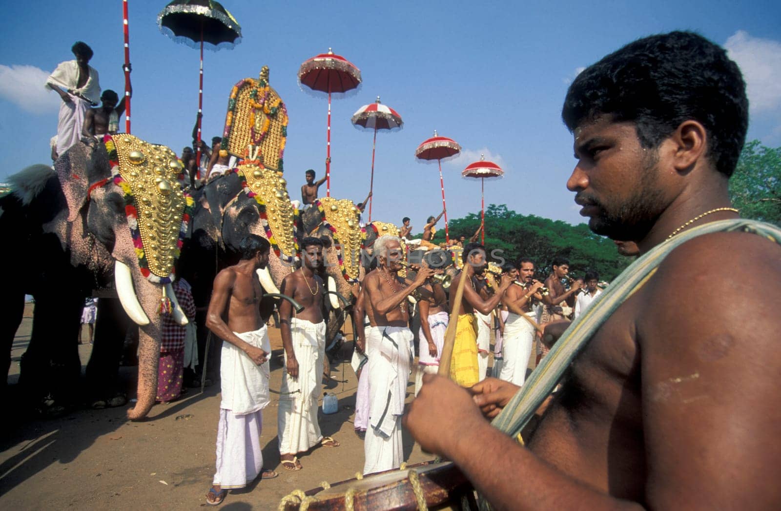 Farmers with their Elephants at the traditional Pooram or Elephant Festival and Temple Festival in the city of Thrissur or Trichur in the Province Kerala in India.  India, Thrissur, April, 1998