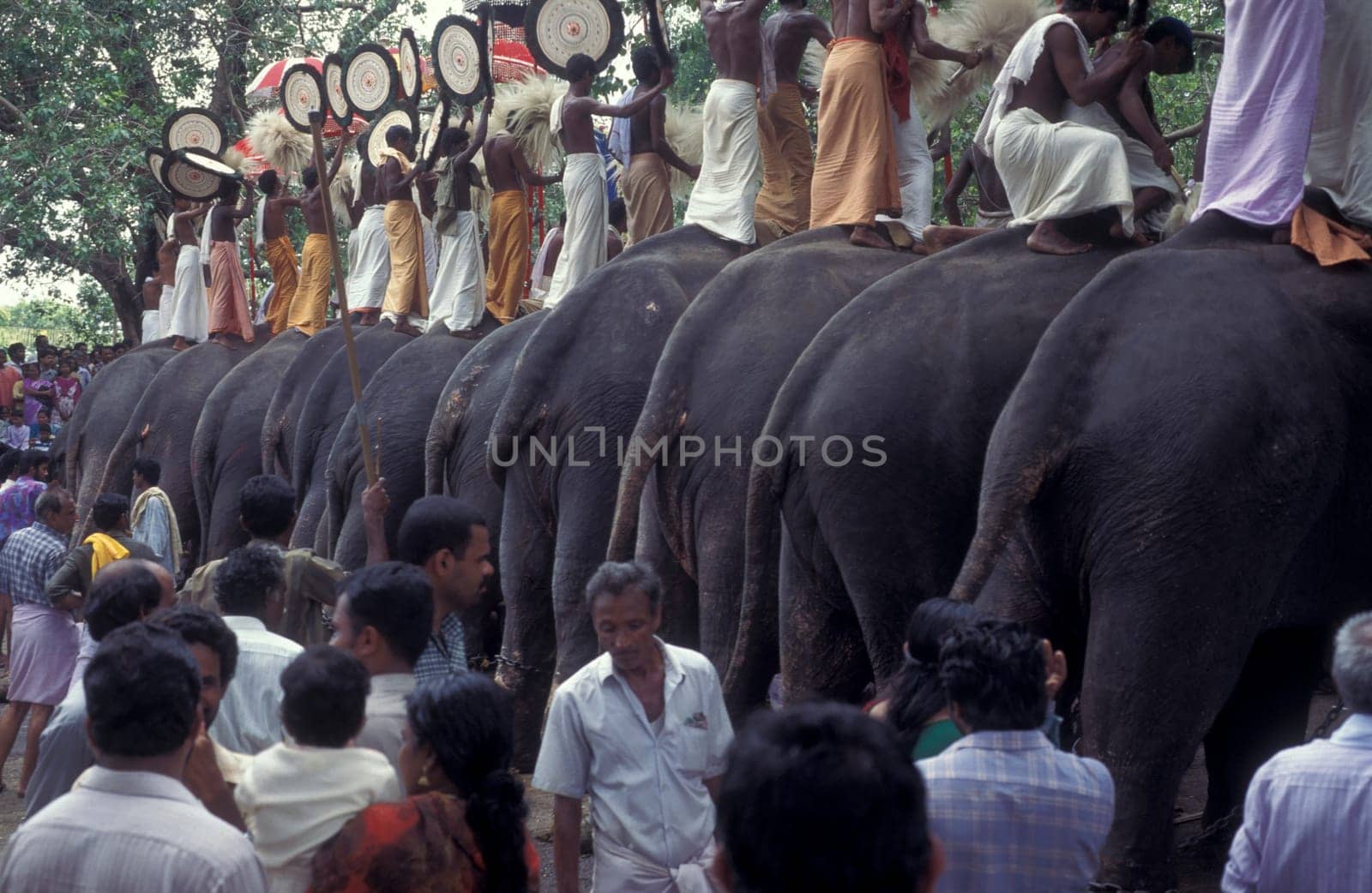 Farmers with their Elephants at the traditional Pooram or Elephant Festival and Temple Festival in the city of Thrissur or Trichur in the Province Kerala in India.  India, Thrissur, April, 1998