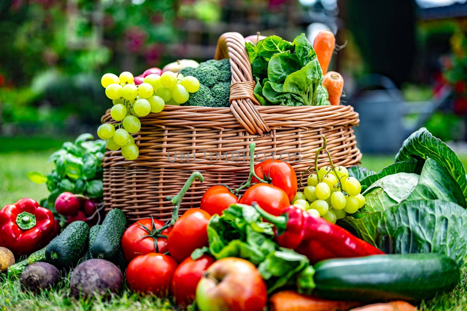 Wicker basket with vegetables and fruits in the garden. Balanced diet