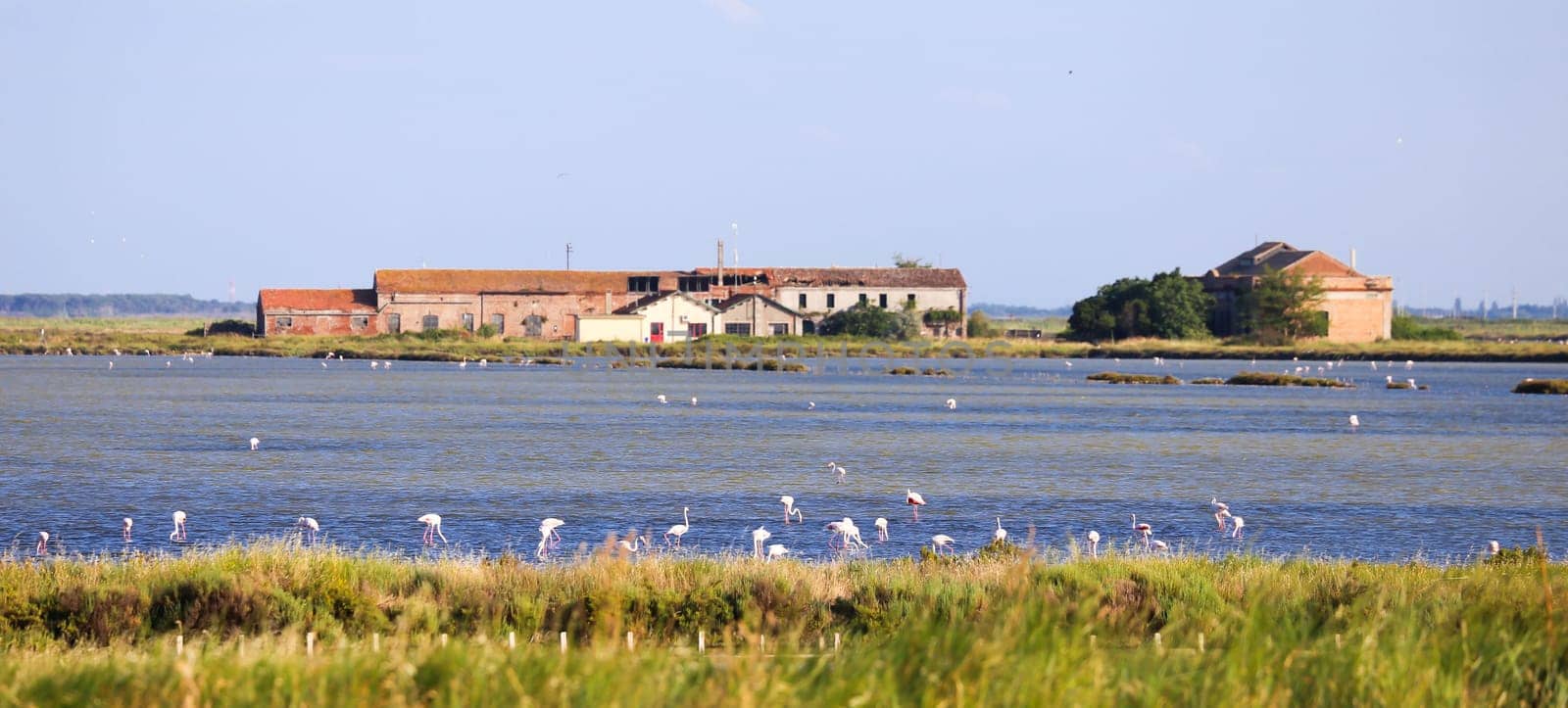 Italy, Comacchio - lagoon with blue sky during summer. Wetland park.