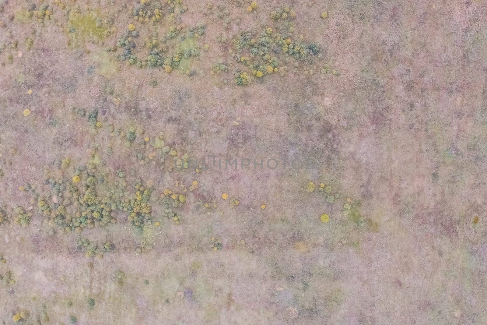 Top view of a field overgrown with grass. Unplowed field