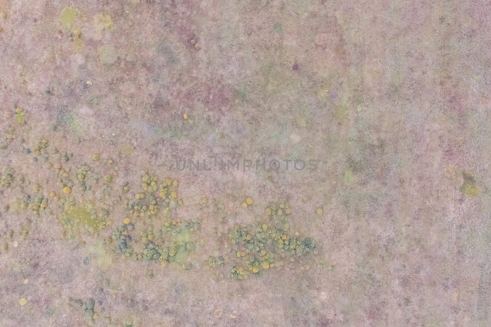 Top view of a field overgrown with grass. Unplowed field