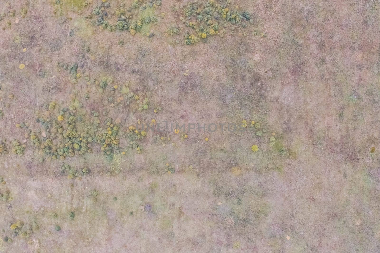Top view of a field overgrown with grass. Unplowed field
