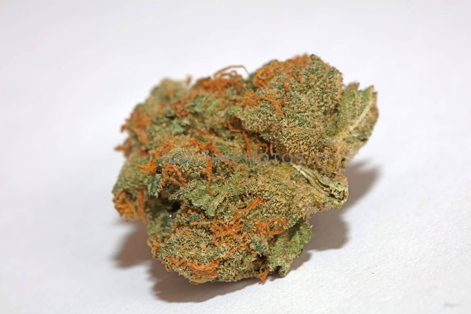 Cannabis various buds super private collection medical marihuana grass mania macro background high quality focus stack fifty megapixels prints