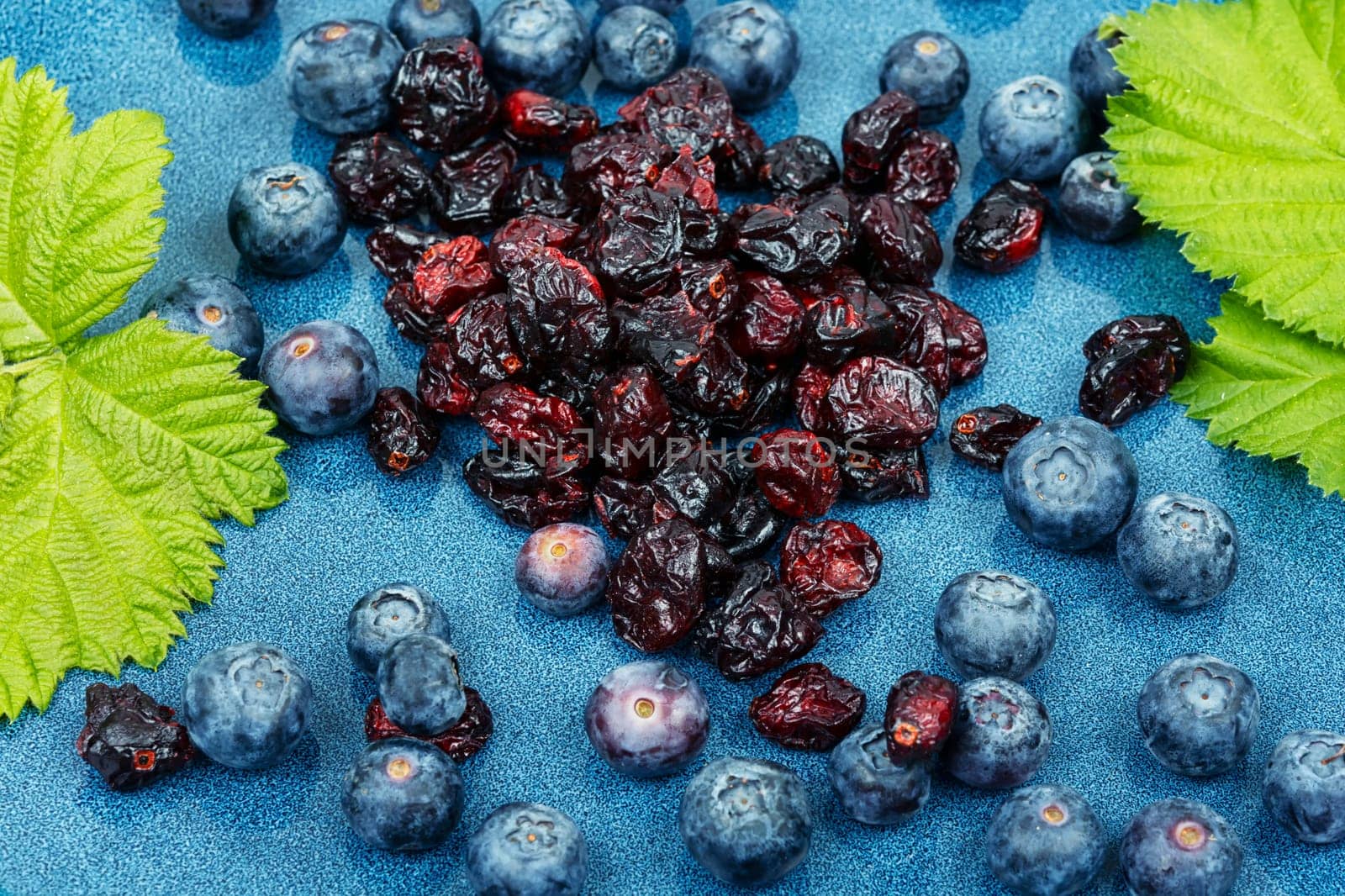 A set of fresh blueberries and dried cranberries.