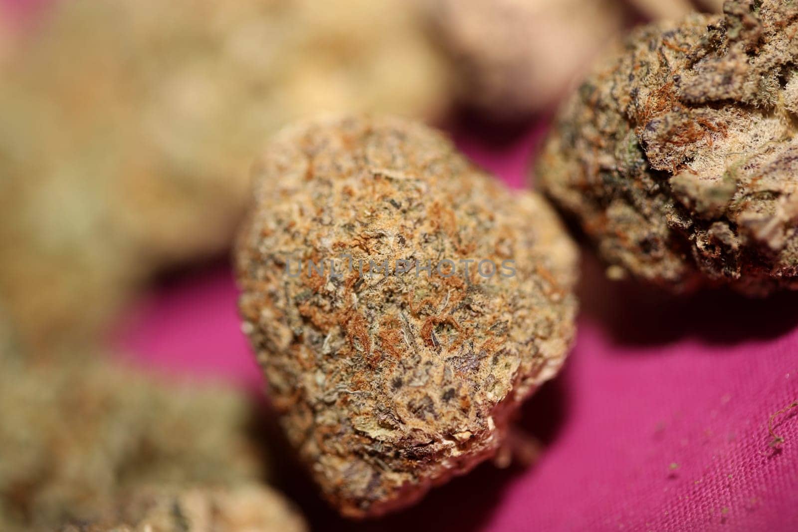 Cannabis various buds super private collection medical marihuana grass mania macro background high quality focus stack fifty megapixels prints
