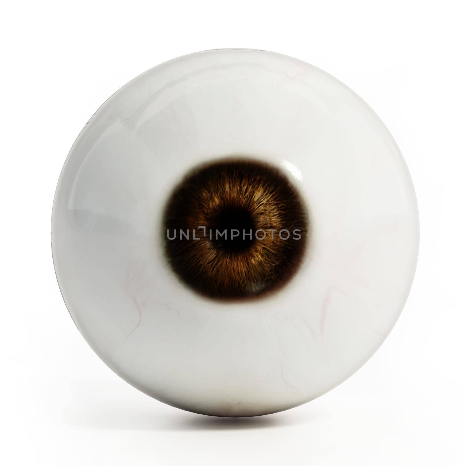 Eyeball isolated on white background. 3D illustration.