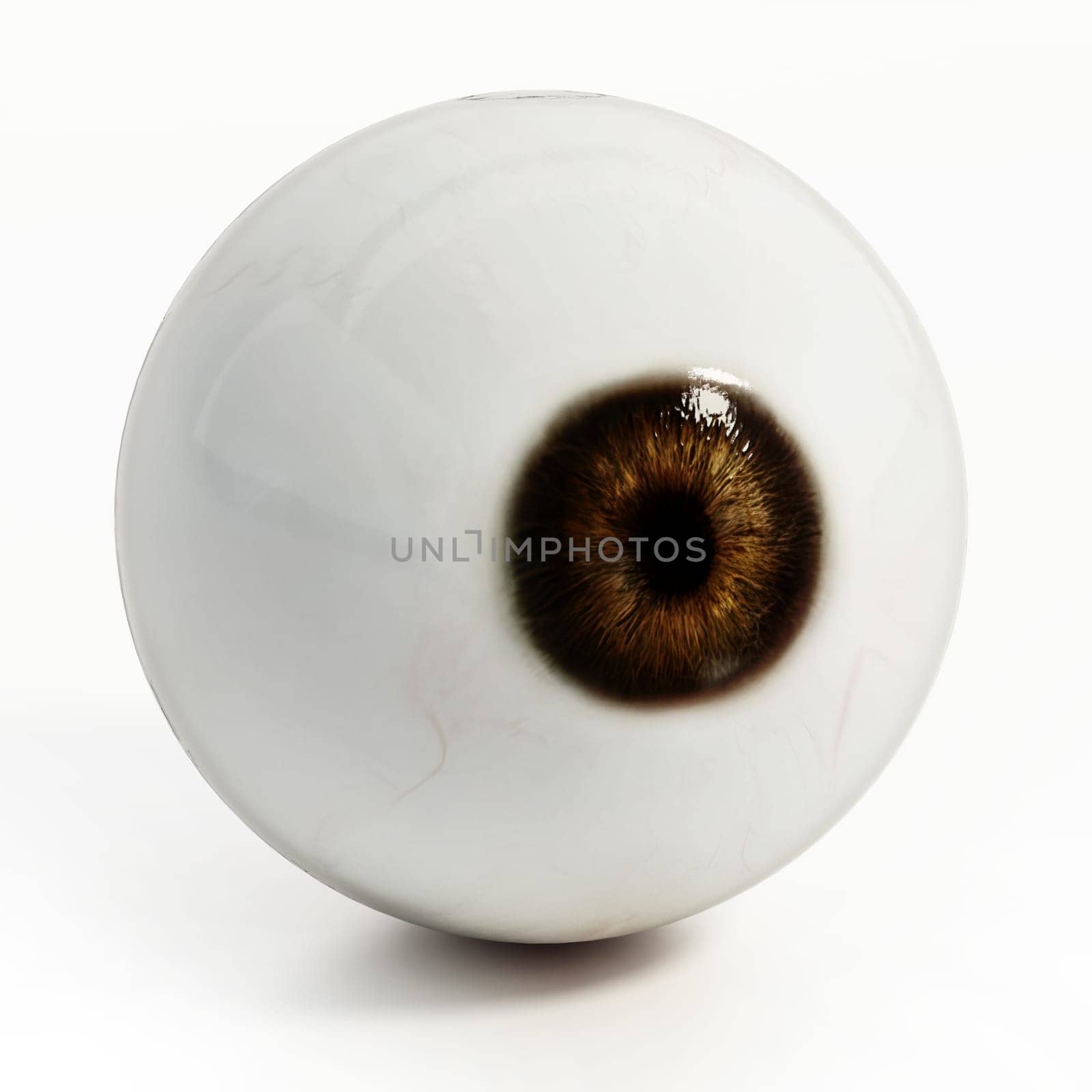 Eyeball isolated on white background. 3D illustration.