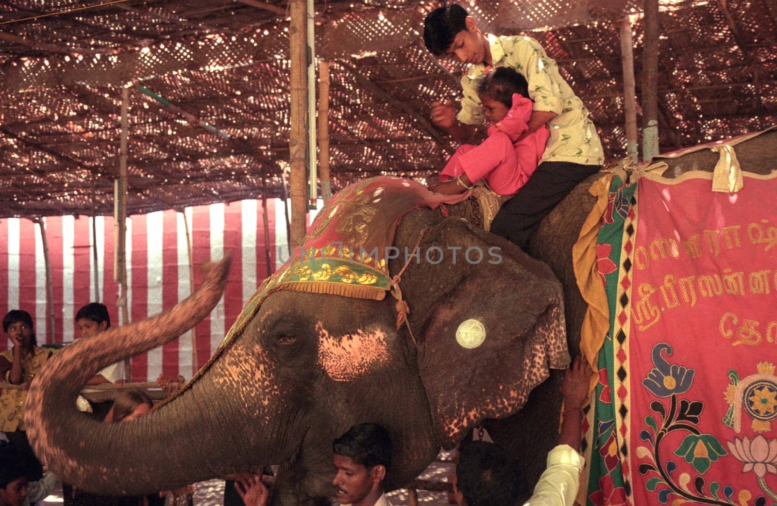 a Hindu Elephant ceremony in the Meenakshi Amman Temple in the city of Madurai in the Province Tamil Nadu in India.  India, Madurai, April, 1998