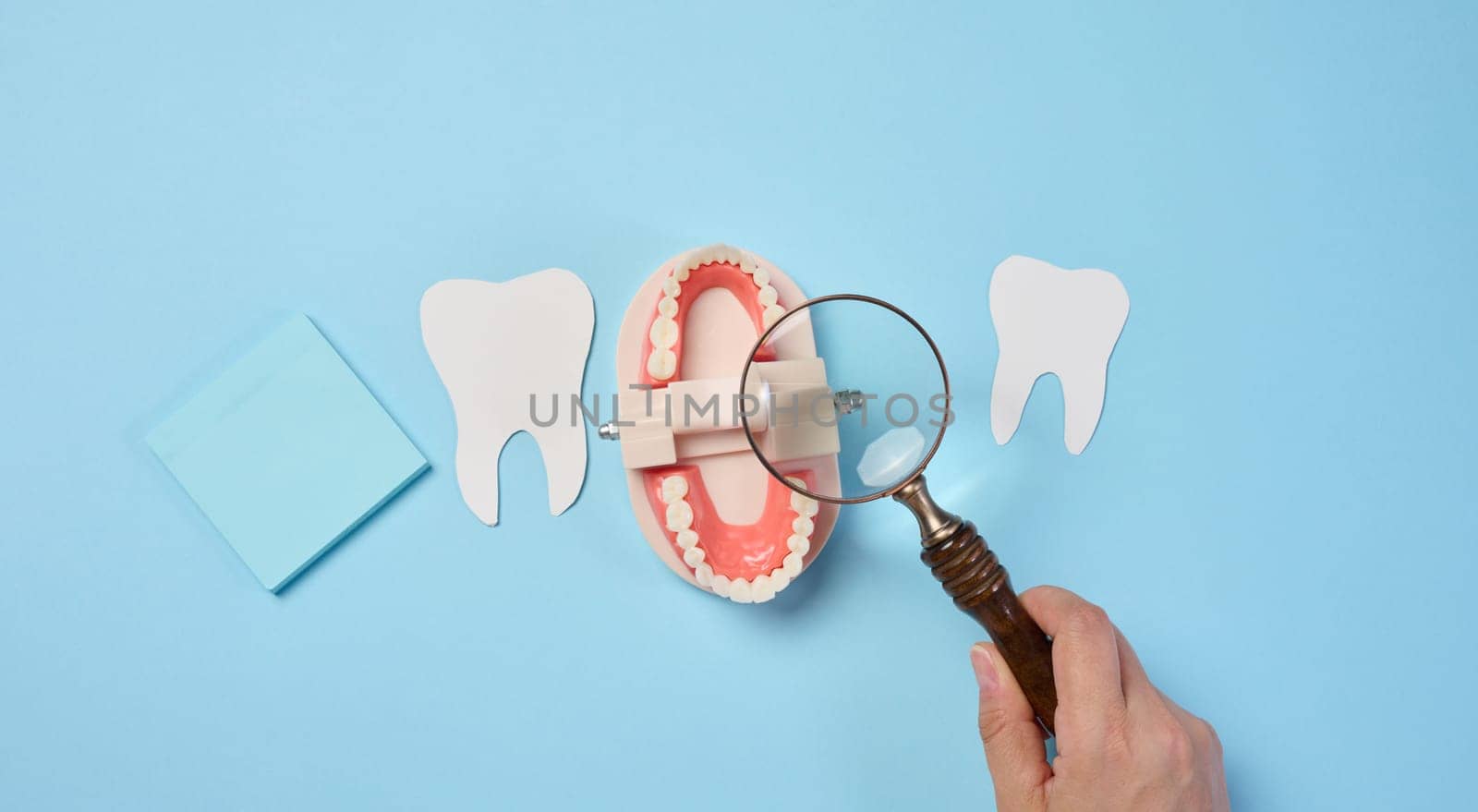 Plastic human jaw with white teeth and female hand with a magnifying glass, oral cavity prevention, top view