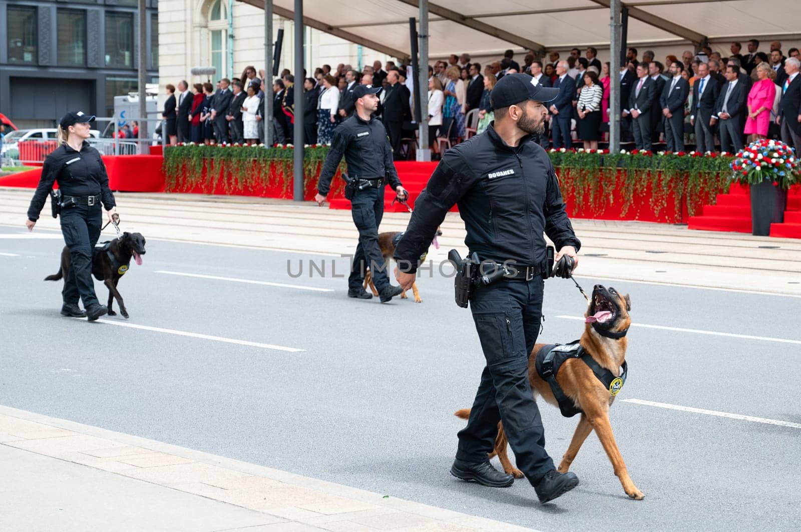 National Day Luxembourg, celebration of the Grand Duke´s birthday, military parade with luxembourgish army, police, fire department, rescue service and armed forced, Luxembourg city, 23.06.2024