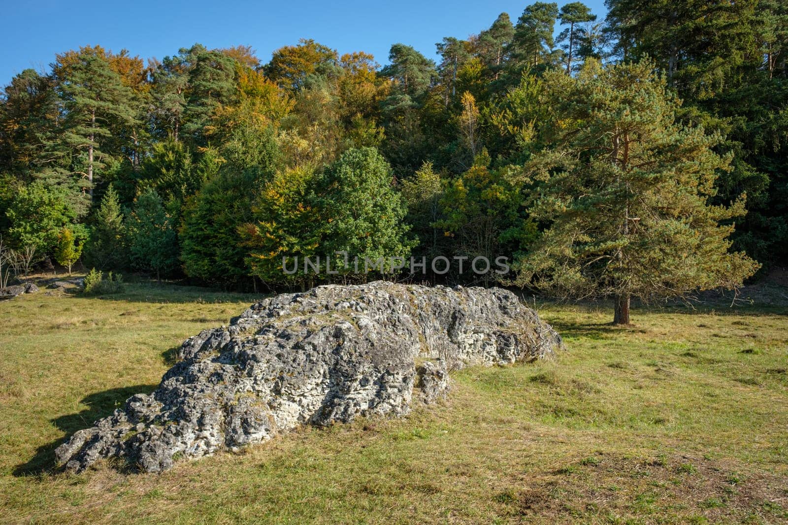 Huge rock on meadow and forest landscape