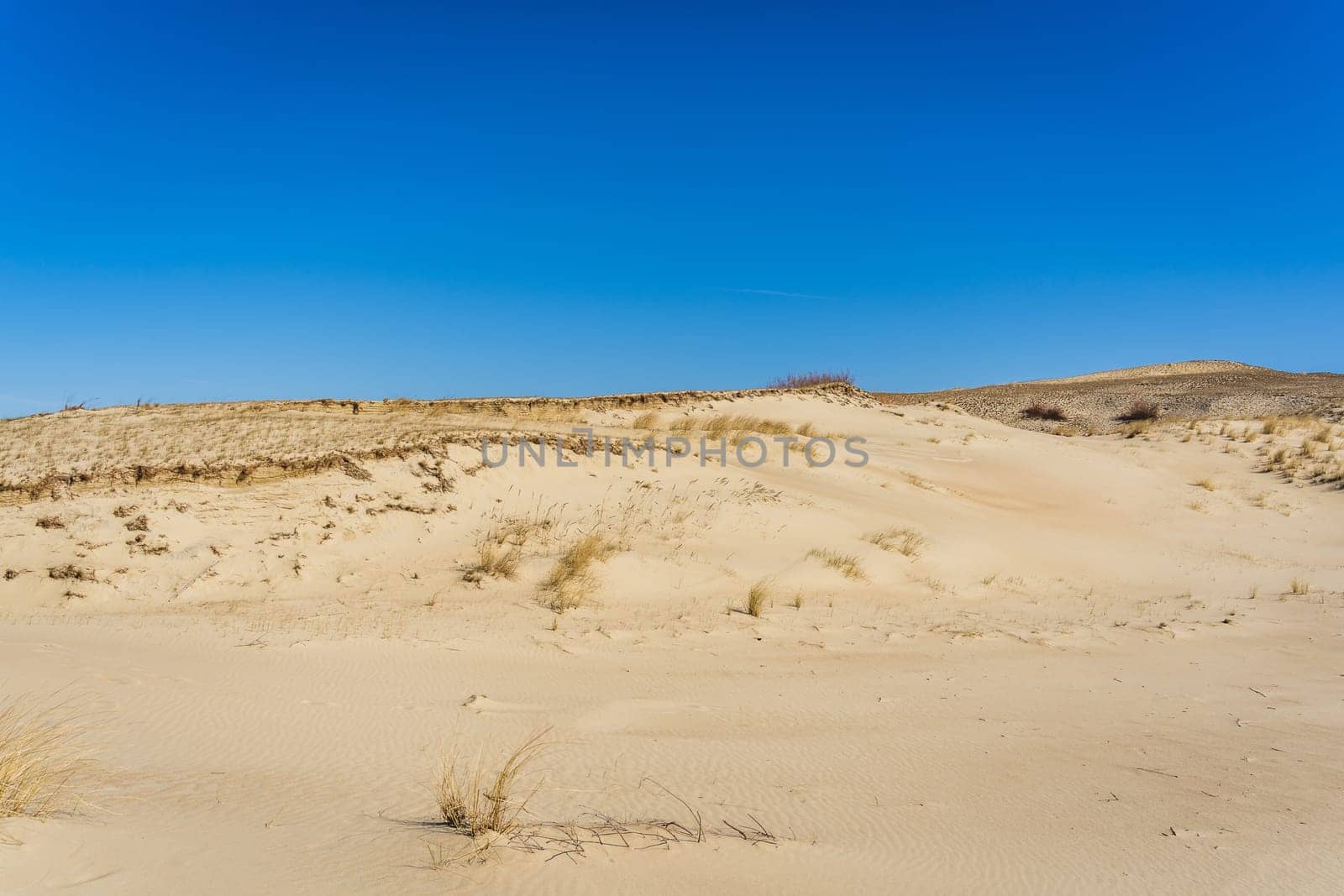 The Gray Dunes, or the Dead Dunes is sandy hills with a bit of green specks at the Lithuanian side of the Curonian Spit.