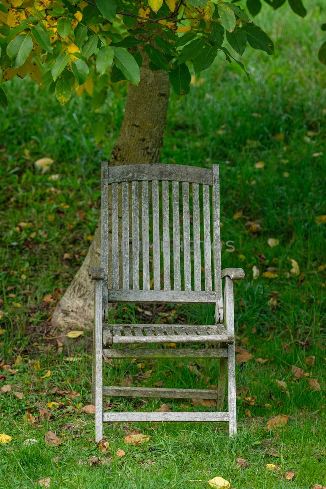 Weathered wooden grunge arm chair in a garden