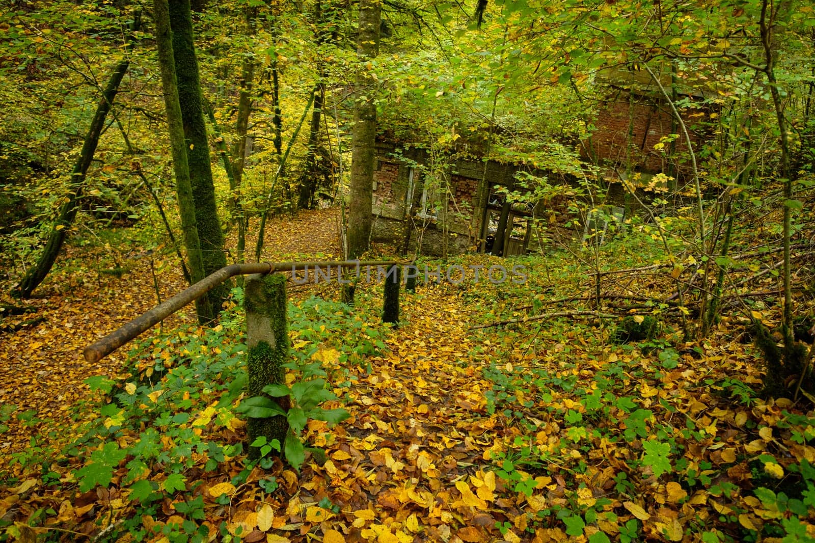 Lost place hydroelectric power station in forest autumn scenery