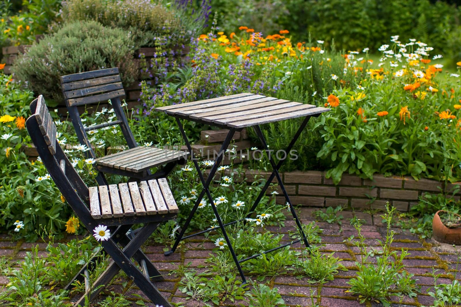 wild garden - herb spiral in the garden with fresh herbs and flowers, table and chair