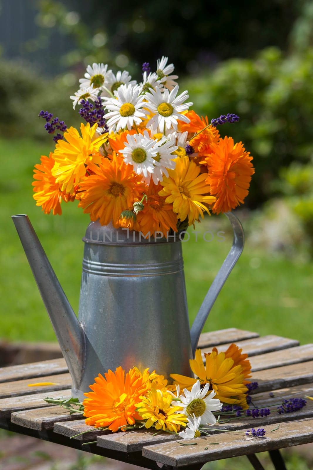 Beautiful fresh summer flowers in watering can on table against blurred  background