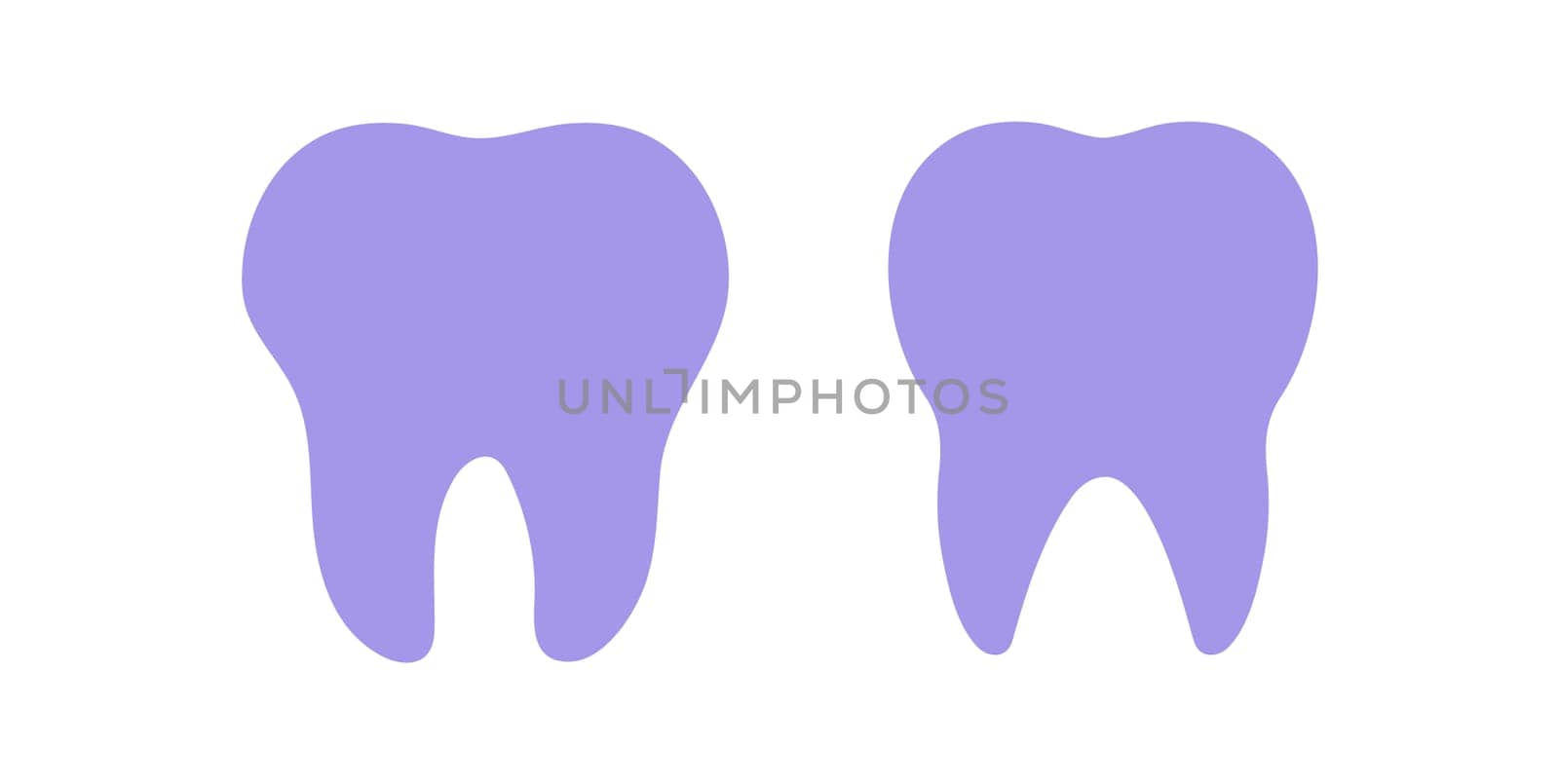 Tooth icon. Dental Silhouette. Vector educational illustration isolated