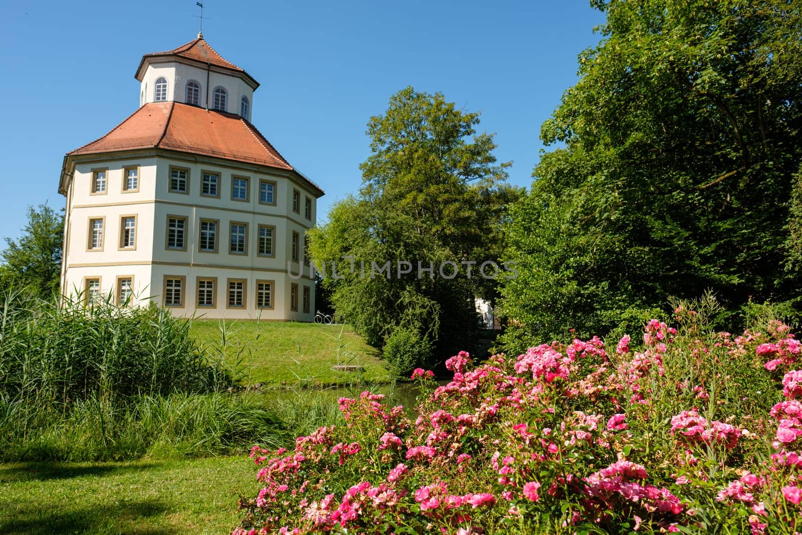 City hall building in former castle with blooming roses in garden