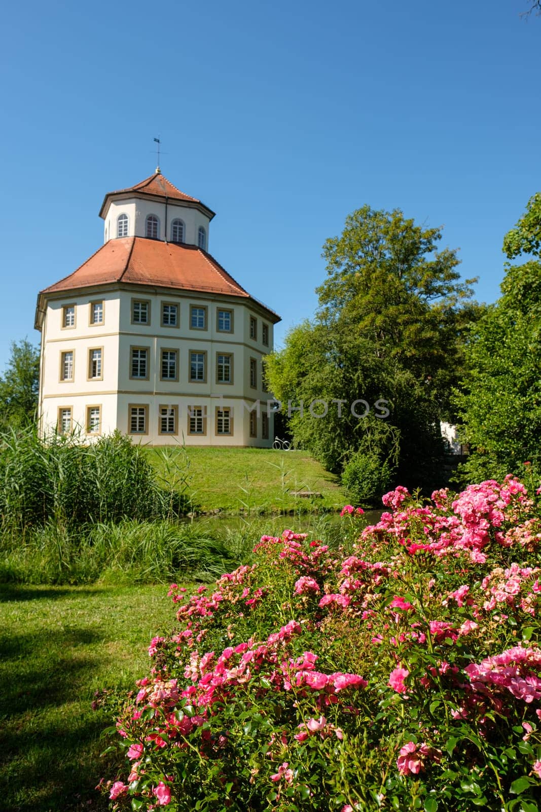 City hall building with meadow and red roses flower landmark