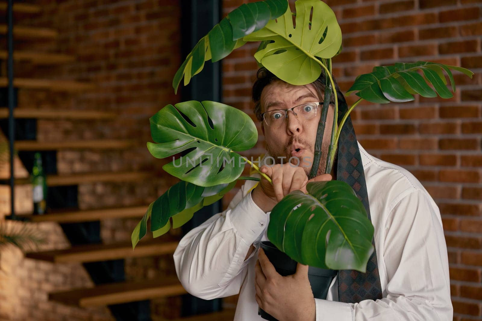 Portrait of funny businessman with necktie on head holding houseplant in hand. Stressful online work and alcohol abuse