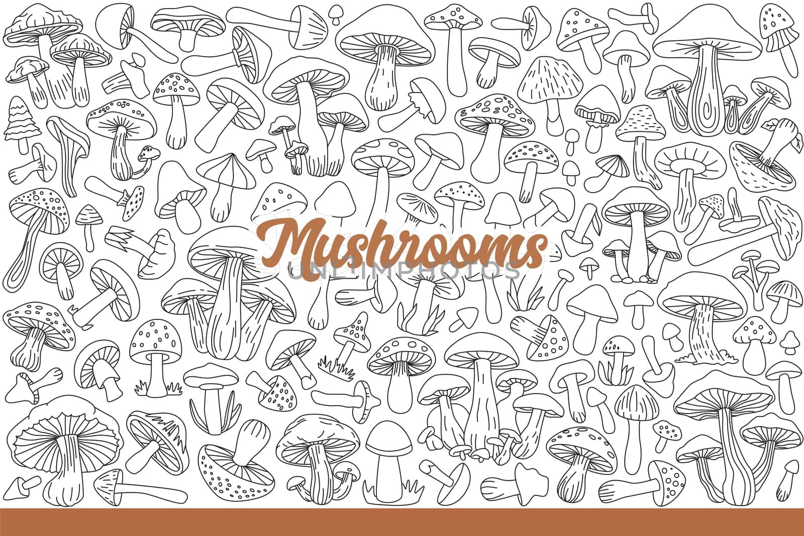 Harvest of fresh mushrooms collected in forest, suitable for food or poisonous. Mushrooms of different sizes grow in groups or singly, for design of products for mushroom pickers. Hand drawn doodle