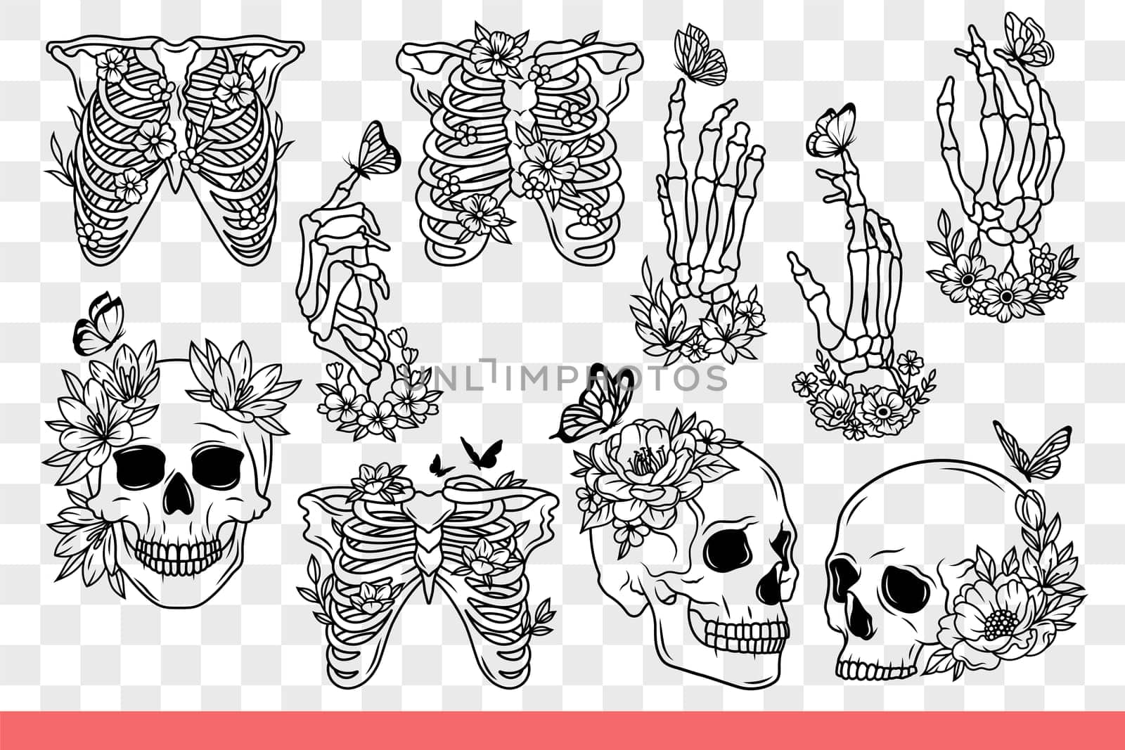 Human skeleton and bones with skulls are decorated with flowers and disassembled into body parts. Dead man skeleton for studying anatomy or designing halloween cards. Hand drawn doodle