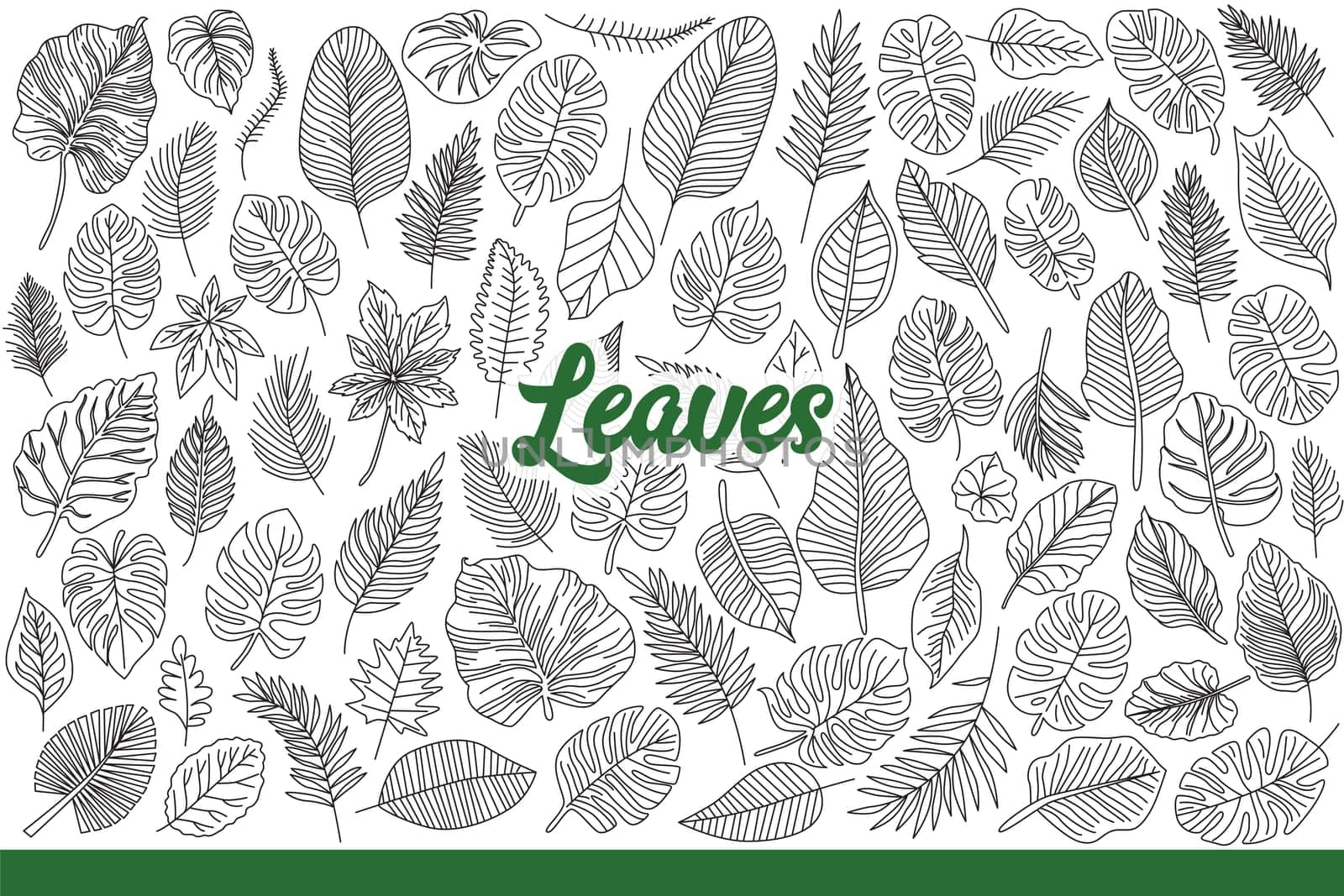 Leaves from tropical trees and shrubs growing on southern islands or jungles. Leaves of different shapes and sizes for design of botanical books or environmental magazines. Hand drawn doodle