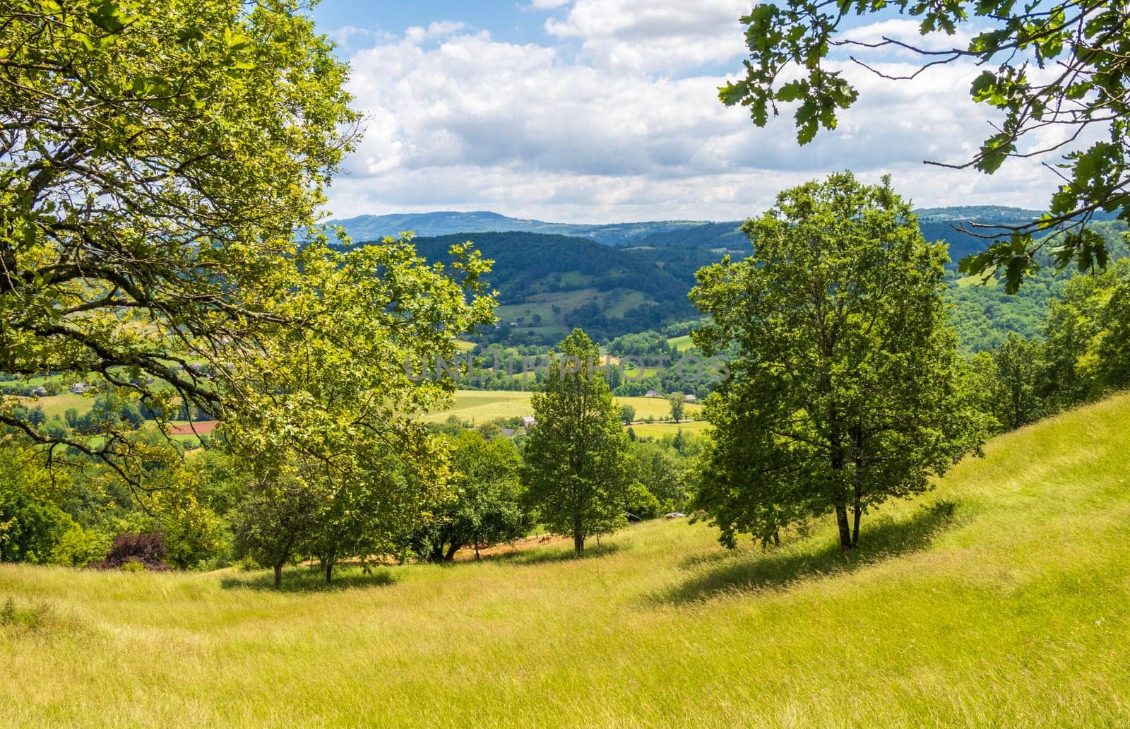 Green nature and hills photographed around Estaing in Aveyron, France