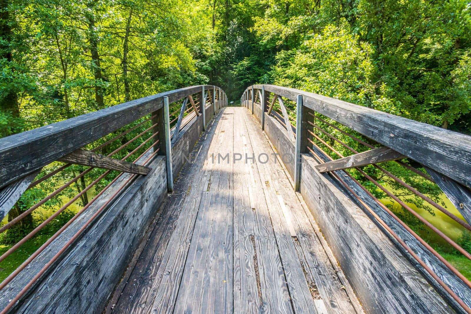 Wooden footbridge with lush forest surrounding it photographed in spring