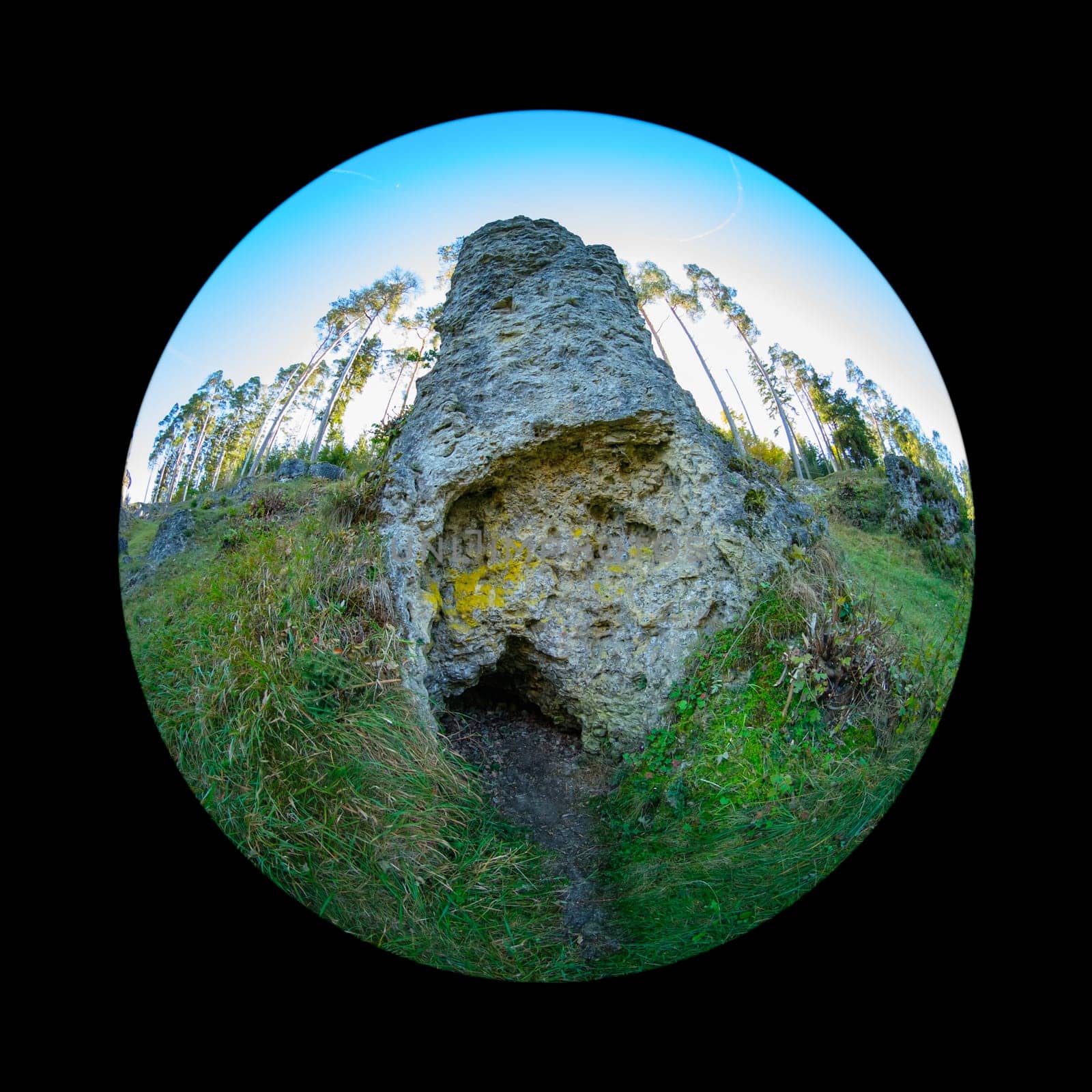 Single rock and trees in german wental with fish-eye distortion
