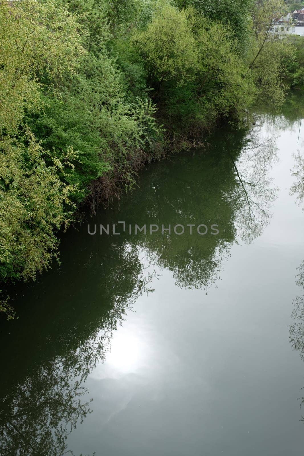 Lake with sun reflection on water and green trees landscape