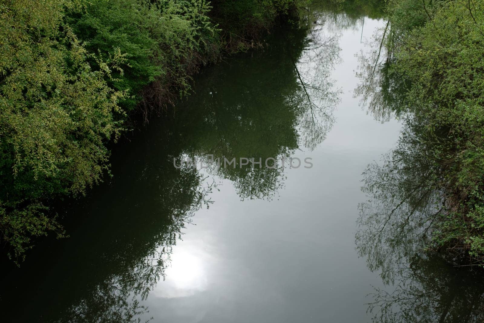 River with sun reflection and green trees landscape