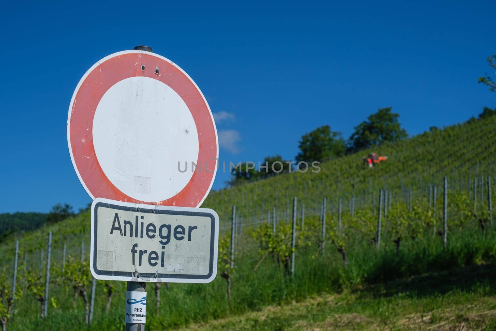 German sing adjacent owner permitted in front of a vineyard landscape