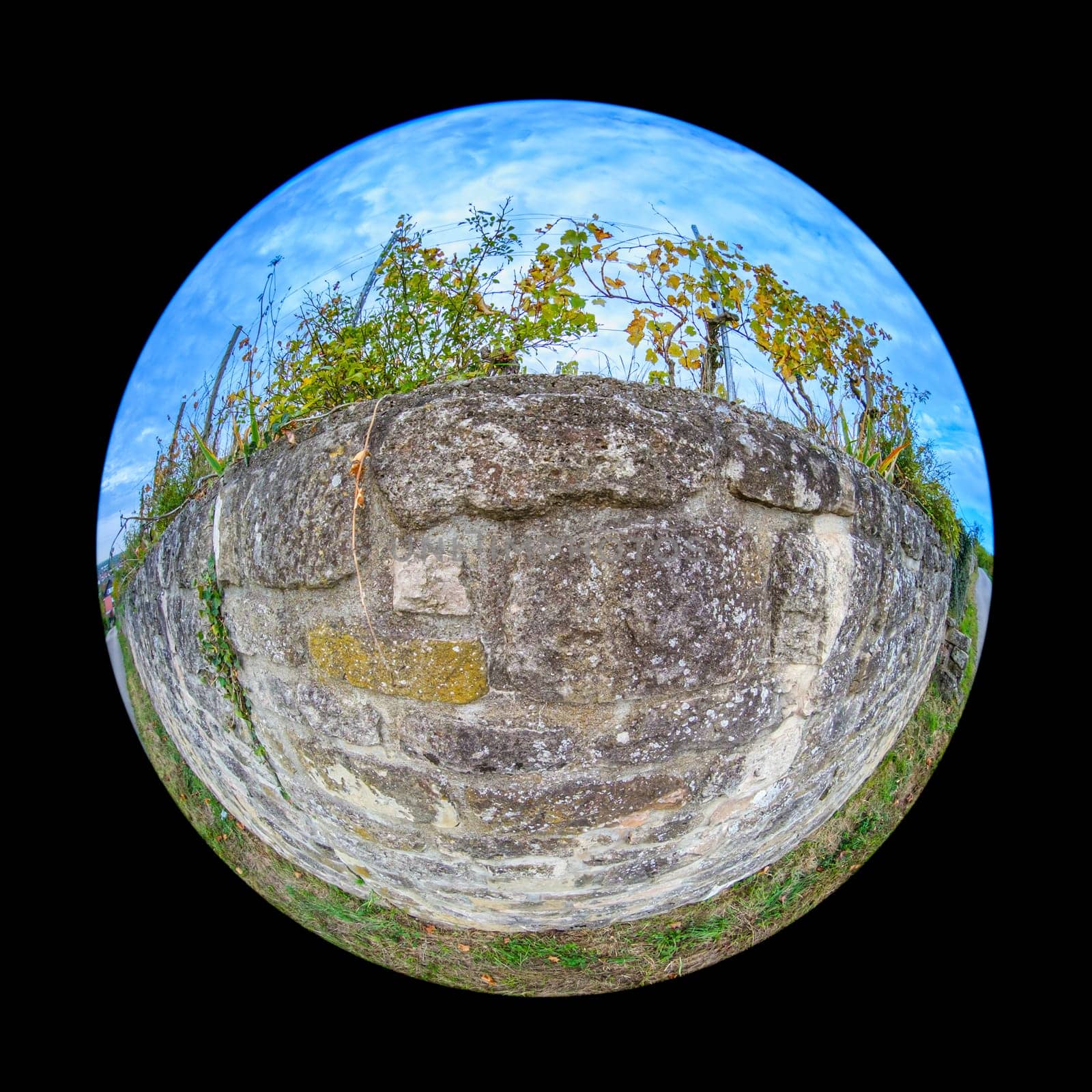 Huge stone wall with vines in a vineyard landscape scene in fish-eye distortion