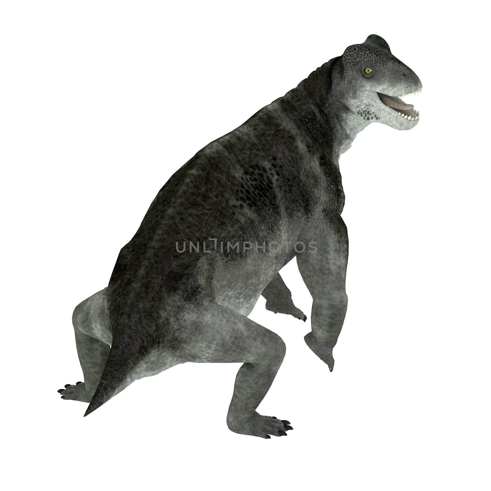 Ulemosaurus is an extinct genus of dinocephalian therapsids that lived in Russia during the Permian Period.