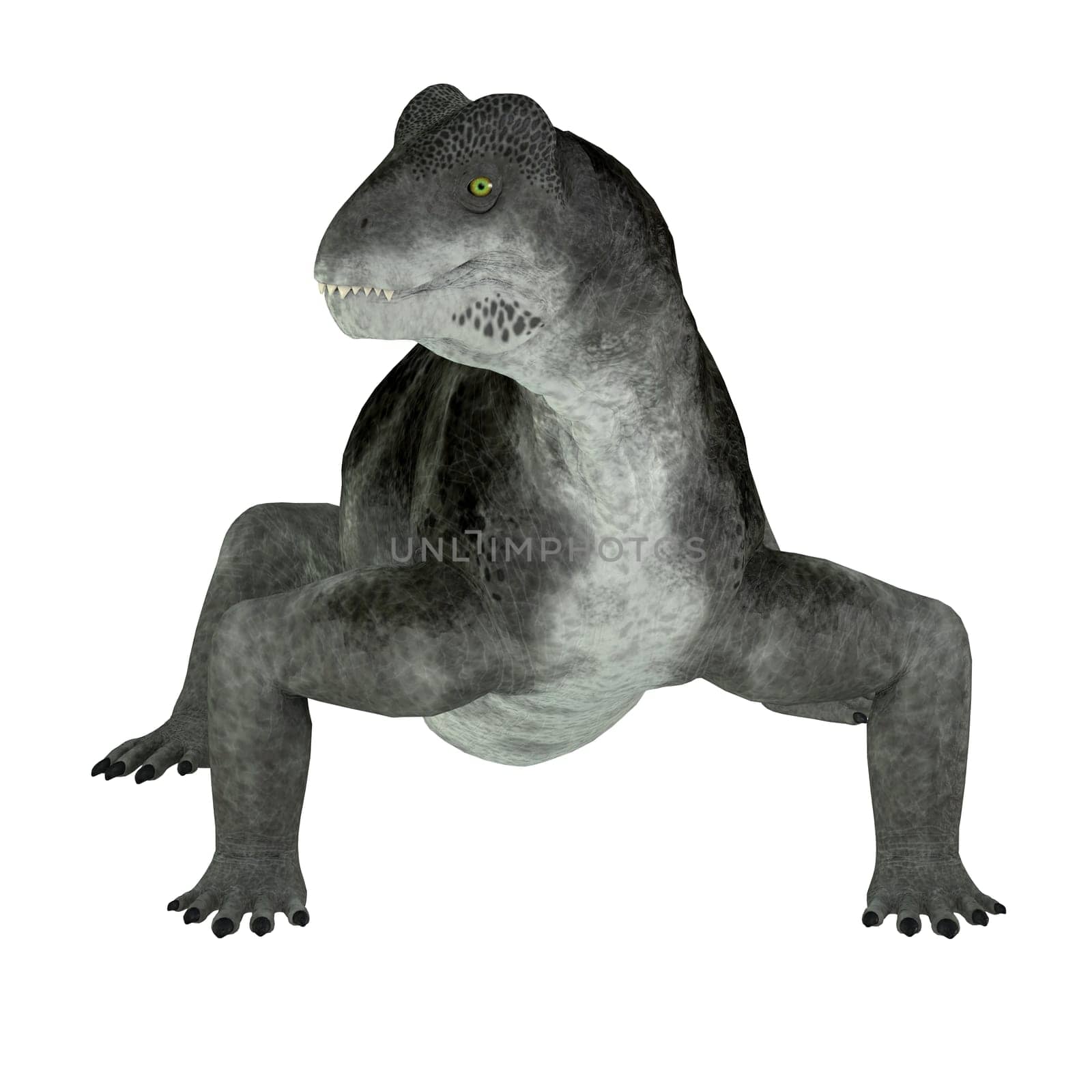 Ulemosaurus is an extinct genus of dinocephalian therapsids that lived in Russia during the Permian Period.