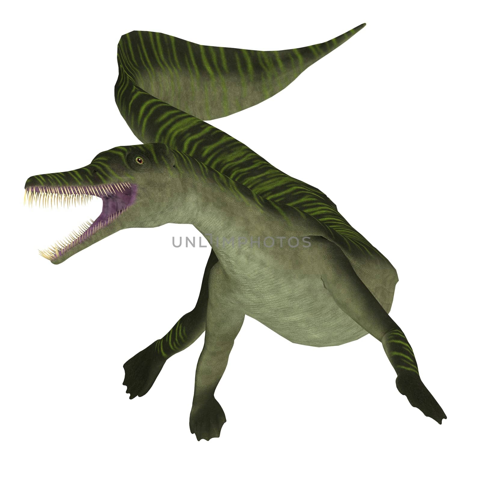 Mesosaurus was a carnivorous marine reptile that lived in the seas of Africa and South America during the Permian Period.
