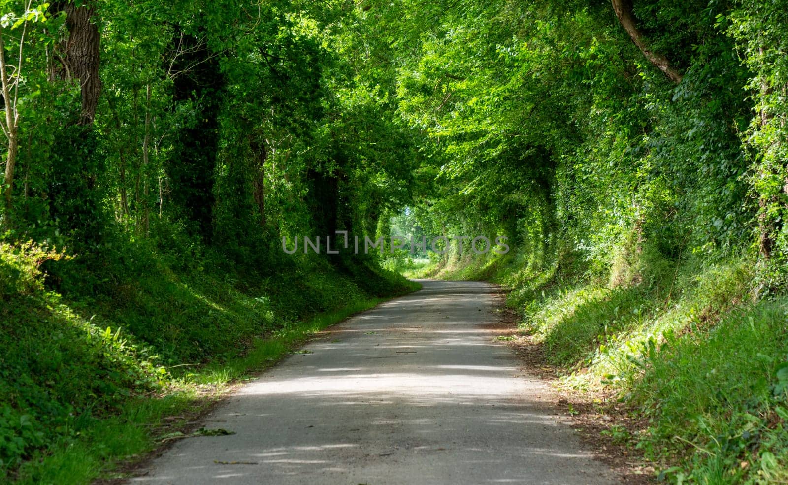 a small road in the Normandy countryside