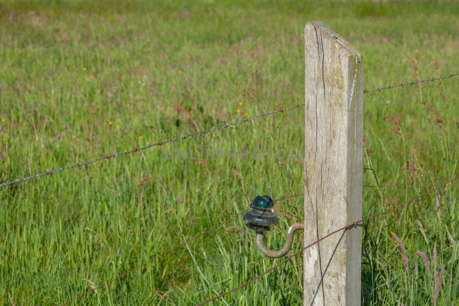 wooden fence post, wooden fence, electric fence, willow fence, barbed wire, Germany