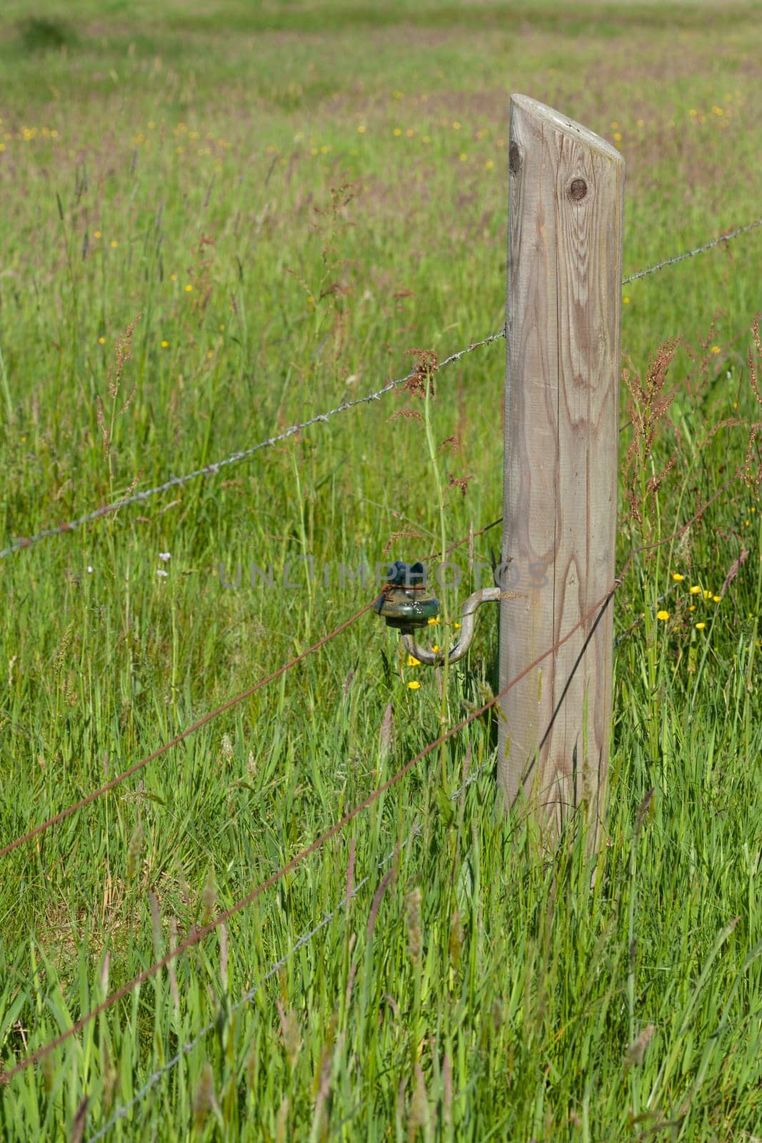 wooden fence post, wooden fence, electric fence, willow fence, barbed wire, Germany