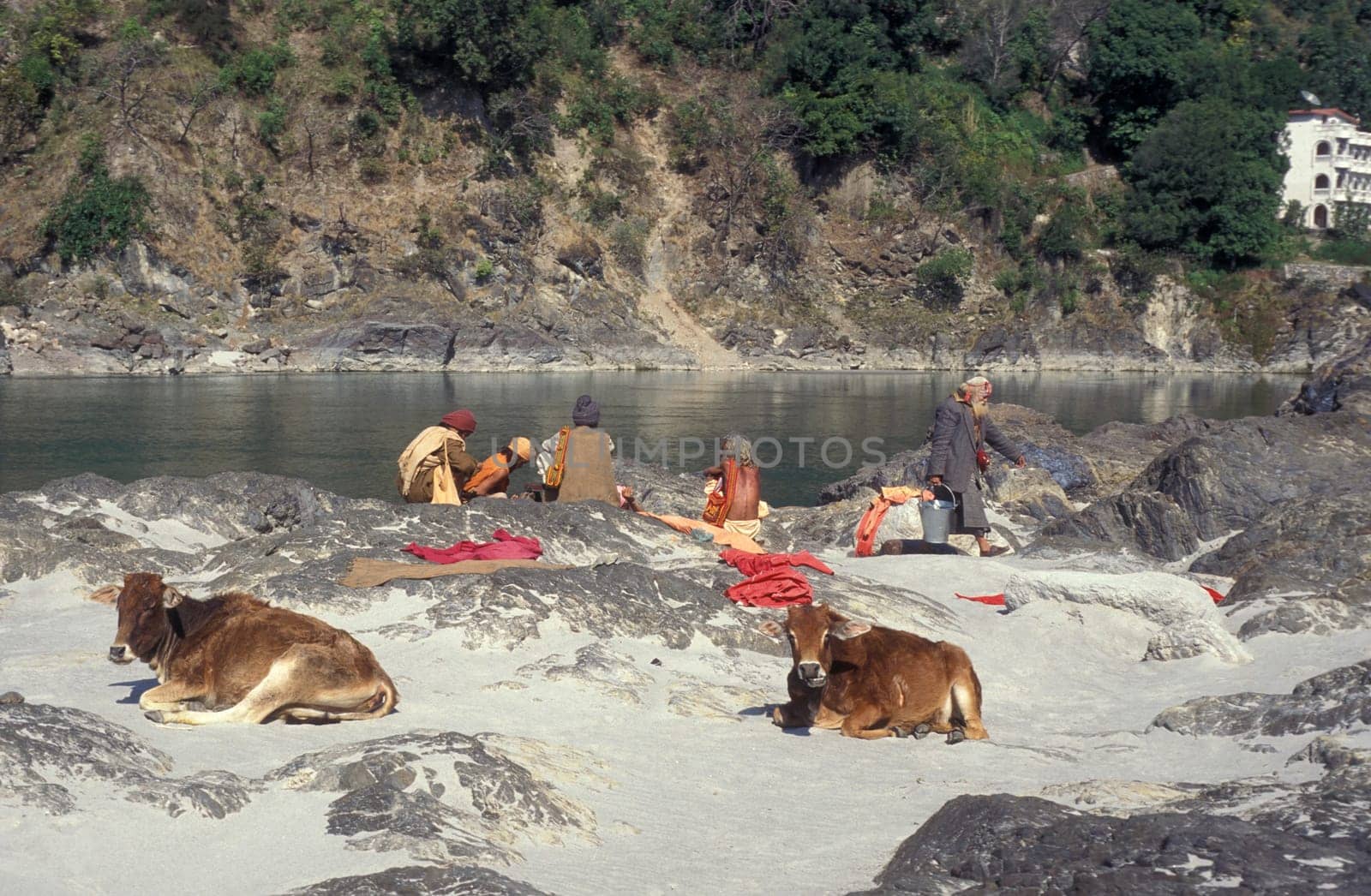 a Holy men and Street Sadhus at the Holy Ganges River in the city of Rishikesh in the Province Uttarakhand in India.  India, Rishikesh, February, 1998