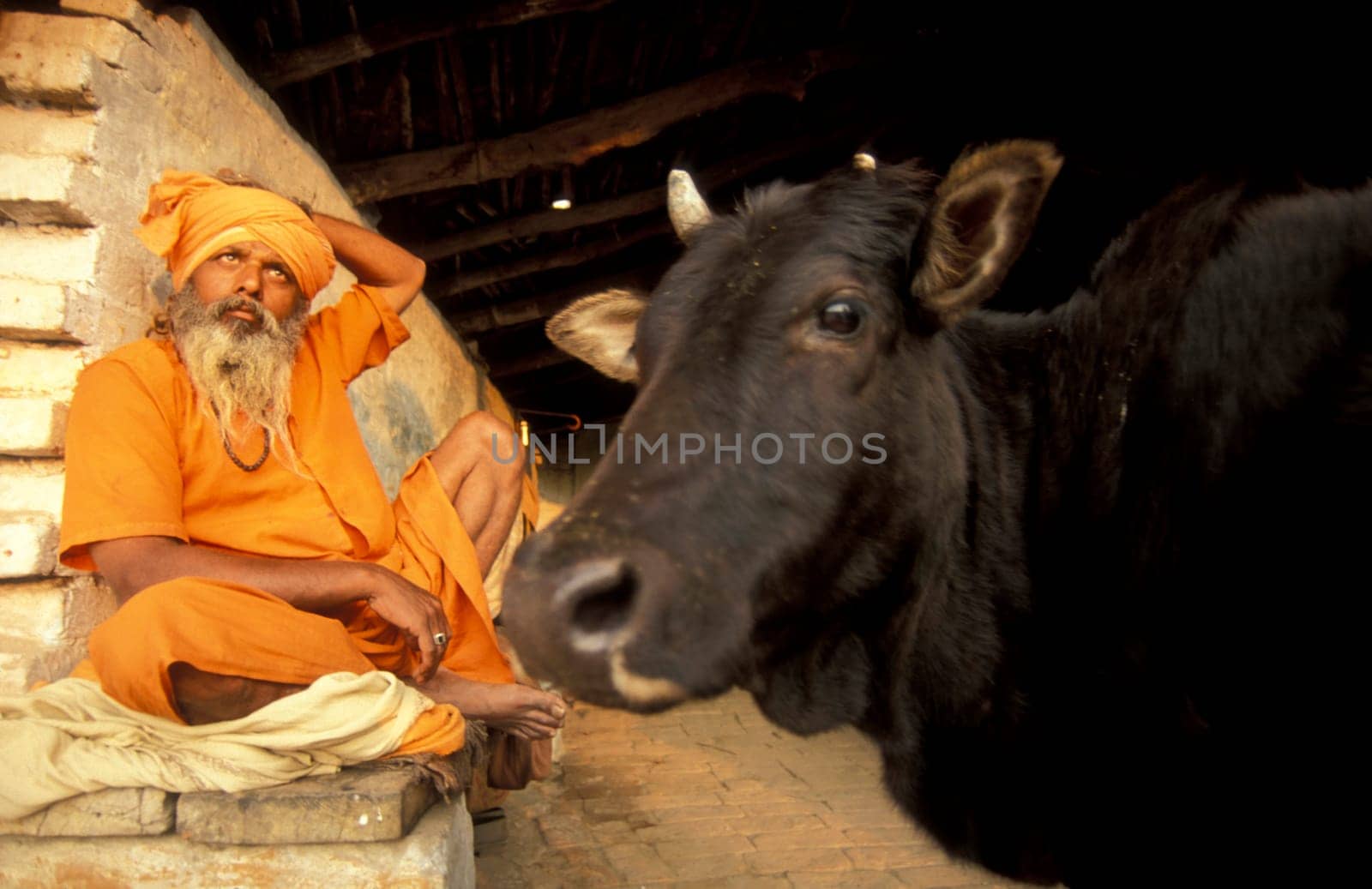 a Holy men and Street Sadhus at the Holy Ganges River in the city of Rishikesh in the Province Uttarakhand in India.  India, Rishikesh, February, 1998