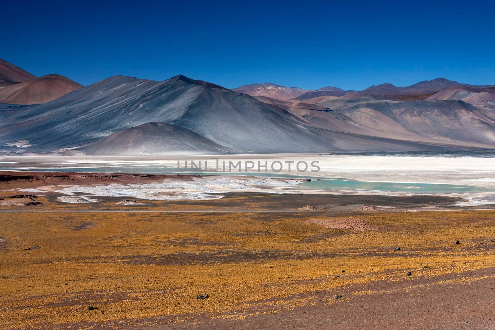 Alues Calientes Lagoon high on the altiplano in the Atacama Desert in northern Chile, South America. The white areas in the foreground are deposits of salt.