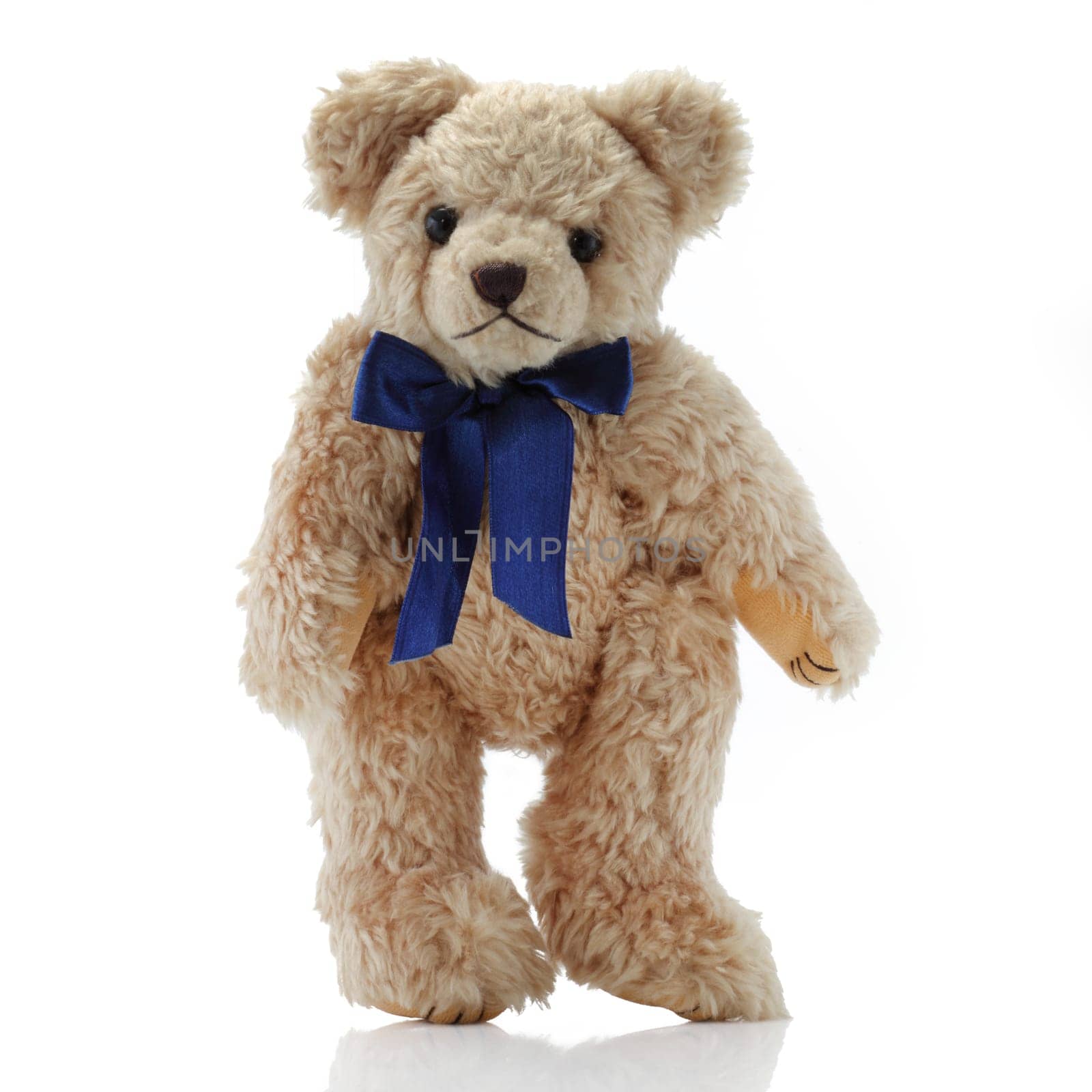 A Teddy Bear with a blue bow