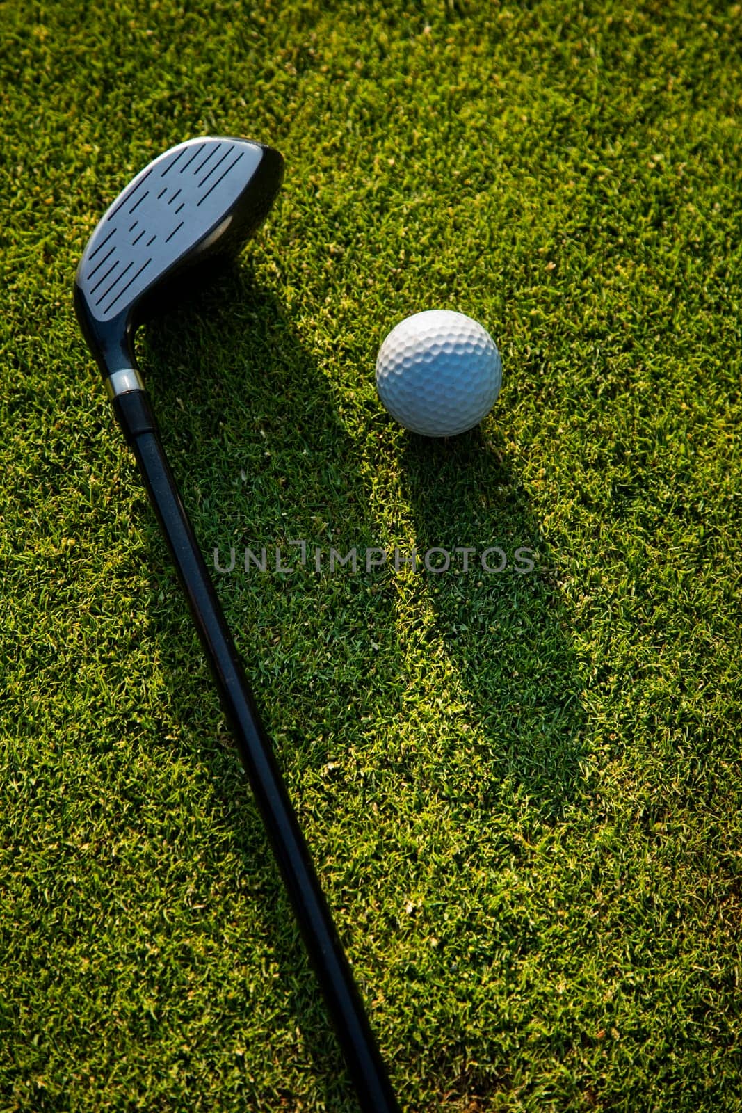 Golf player playing in a golf club on a beautiful sunset in the evening