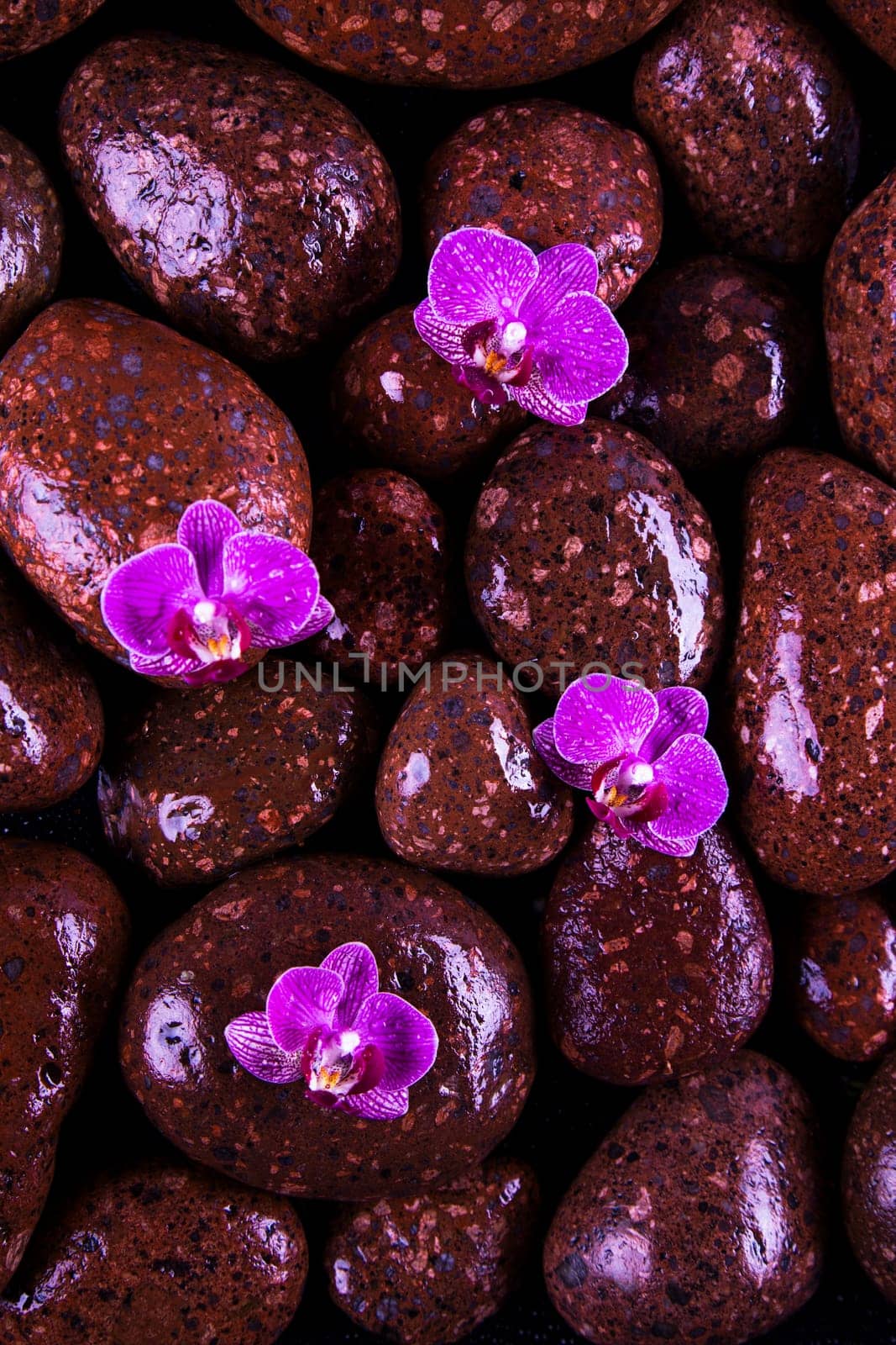 Stones with orchid flower. spa concept