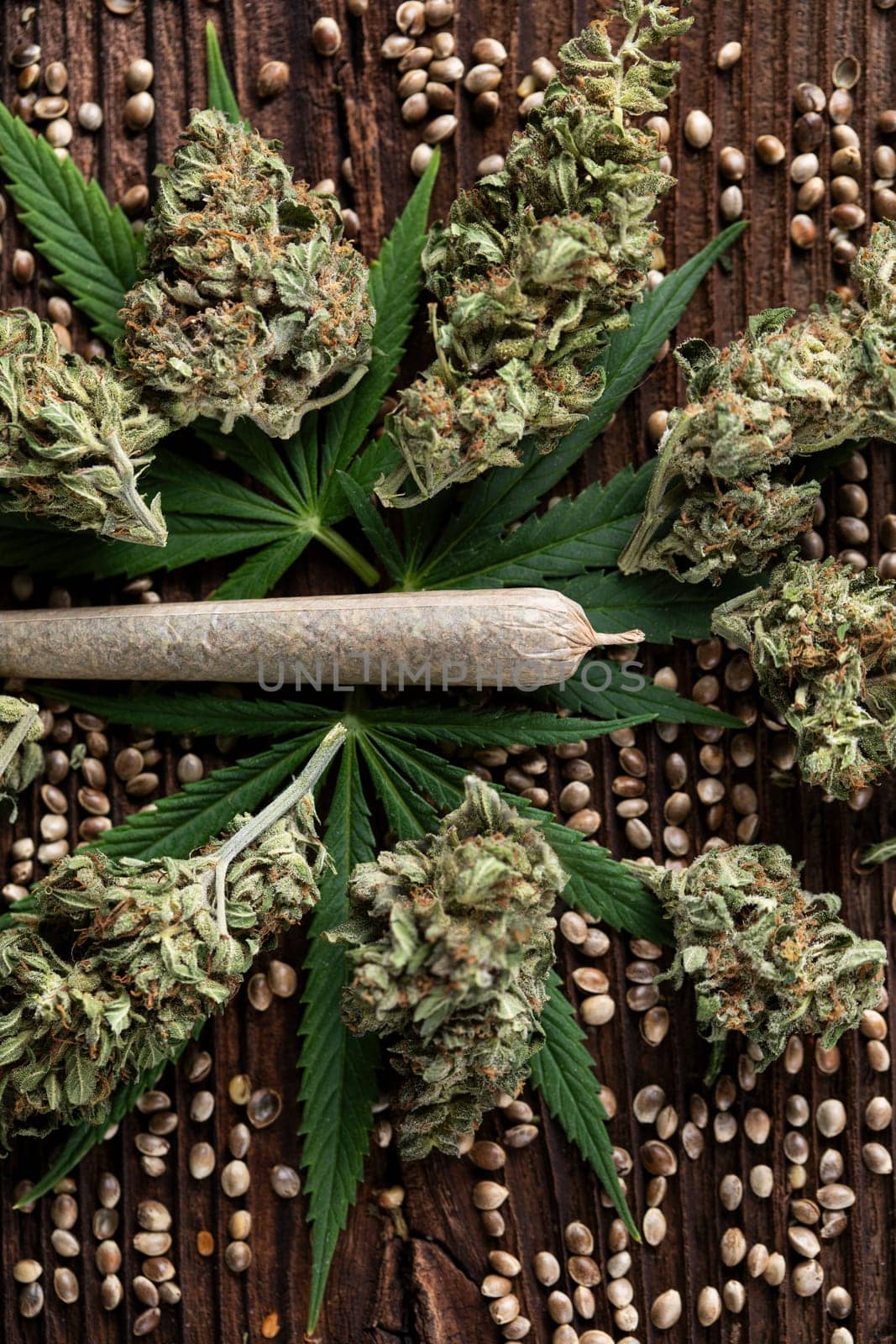 Cannabis and medical marijuana bud , cbd, blunt
